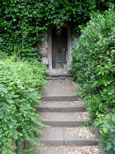 Image: Wooden Door Amongst Vines