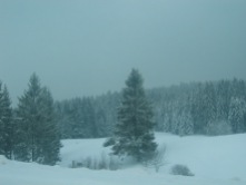 Image: The High Black Forest in Winter