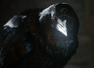 Image: Three-eyed Raven