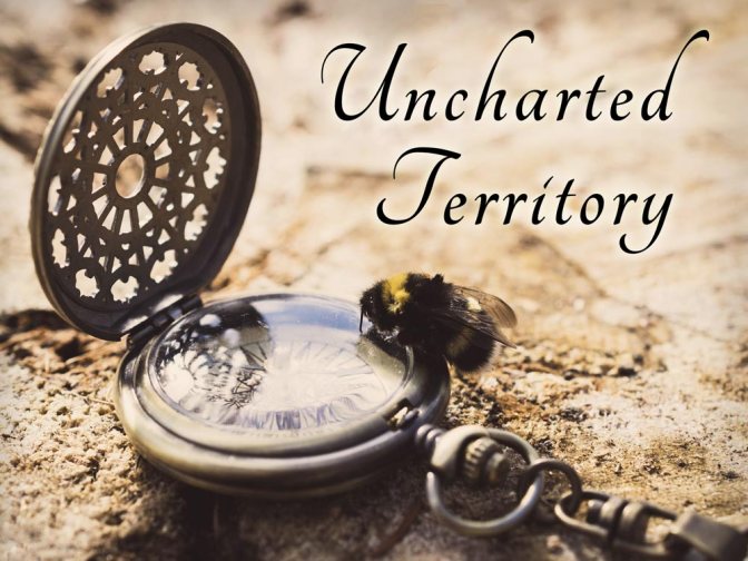 Image: Uncharted Territory
